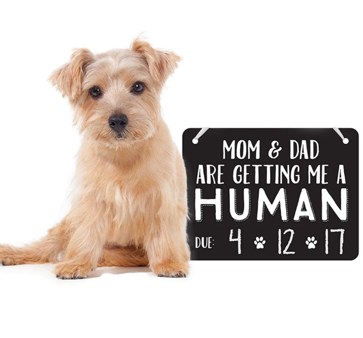 Pearhead - Pet's Baby Announcement